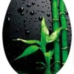 מושב אסלה דורופלסט במבוק