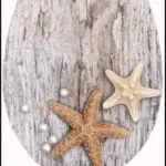 מושב אסלה דורופלסט כוכב ים